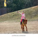 라온더마파크 이미지
