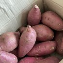 베니마켓