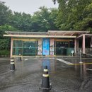 6-064 TS | [제주 서귀포] 세계자동차&amp;피아노 박물관 - 세계적인 자동차와 피아노를 잔뜩 볼 수 있는 제주 실내...