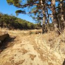 경주농장2 이미지