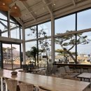 슈필라움 | 제부도 카페 슈필라움 :: 통창 뷰 좋은 여유로운 카페 후기