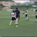 시골꼬맹이