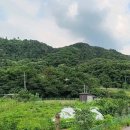 횡성군 우천면 전 계획관리425평 컨테이너 농막3x6m1동 포함 급매 이미지