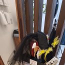 구파발사진관 네이버블로그