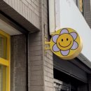 스마일데이지(Smile Daisy) 이미지