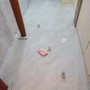 장림국제마마아파트 이미지