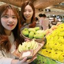 초록망고 이미지