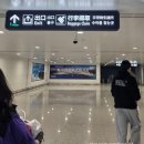 동방커피학원 | 중국 청도(칭다오) 3박 4일 자유여행 동방항공 탑승 모바일 체크인, 중국입국신고서 작성 방법