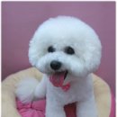 쭈니살롱 이미지