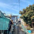 성안 벽화마을 시화 | 전남 목포 서산동 살아있는 야외미술관, 시화골목