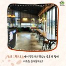노바블룸디자인 이미지
