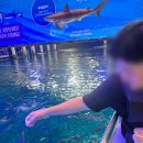중앙농약종묘사 이미지