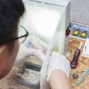 광주전남치과의사신용협동조합 이미지