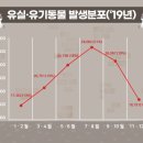 랑개 이미지