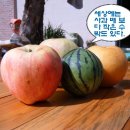 숲속나라어린이집 이미지