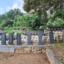 홍산향교 은행나무 이미지