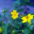 북부순환13번길 이미지