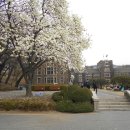 연흥시장마트 이미지