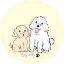 샬롬주유소 | 2022 여자 혼자 베트남 북부여행#8. 하이퐁에서깟바섬가기/벤빈선착장 페리(시간,가격)/벤빈 근처 로컬...
