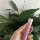 그레이프Grape 이미지