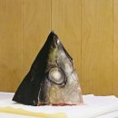 김상현참치 이미지