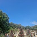 소서 | 성주 대형베이커리카페 &#34;하우스소서&#34;방문후기