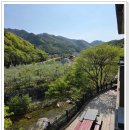 송림펜션 | [충주 펜션] 대가족 모임 장소로 딱! 힐링 가득했던 수안보 송림 농원 펜션 후기