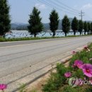 월항면주차공원 이미지