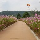배드리