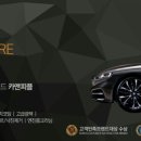 퍼팩트스팀세차 - 양주시 옥정동로5라길 6-13 | 퍼팩트스팀세차