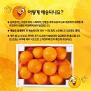 제주미르팜