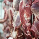 🥩 [대전 축산물 전문 업체 후기] 믿고 먹는 우리 돼지, 농업회사법인(주) 돈마니