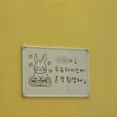 용전네거리 | 대전 아기 돌 촬영 스튜디오 우쥬라이크 내돈내산 촬영 후기