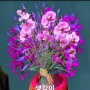 말(speak)은 무기다 💜 ( 실화 ) 이미지
