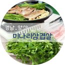 제천푸른솔산악회 / 남녘의 봄향기 가득담은 양산 원동 매화축제 기행계획 이미지