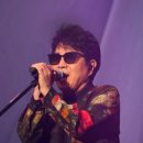 일편단심 민들레야 / 조용필 이미지