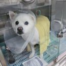 정메디컬 이미지