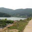 안성시 다목적 야영장 이미지