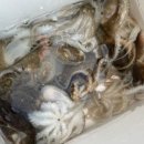 씨사이드에비뉴 이미지