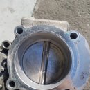 장일카센타 이미지