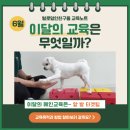 털로덮인친구들 달서점 | [공지] [대구애견유치원] 털로덮인친구들 대구달서점 6월 이달의 교육 안내