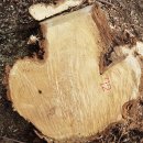 은평-072 이미지