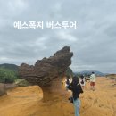 예스폭지 버스투어 예약 후기 스펀폭포 예류 대만 타이베이 택시 소시지