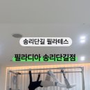 필라디아 이미지