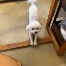 방긋네일 이미지