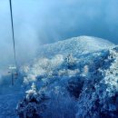 그린피아관광호텔 이미지