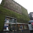 네이처리퍼블릭 카카오 검색결과