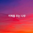 지혜 이미지