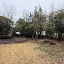 제주신화빌라스 이미지