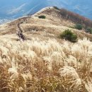 동화마을 생태공원 1 이미지